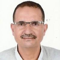 صورة المؤلف محمد عرموش